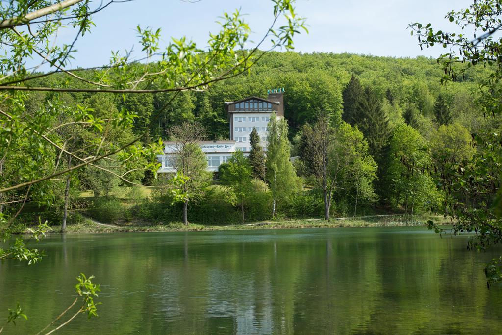 Hotel Reifenstein Kleinbartloff Exterior foto